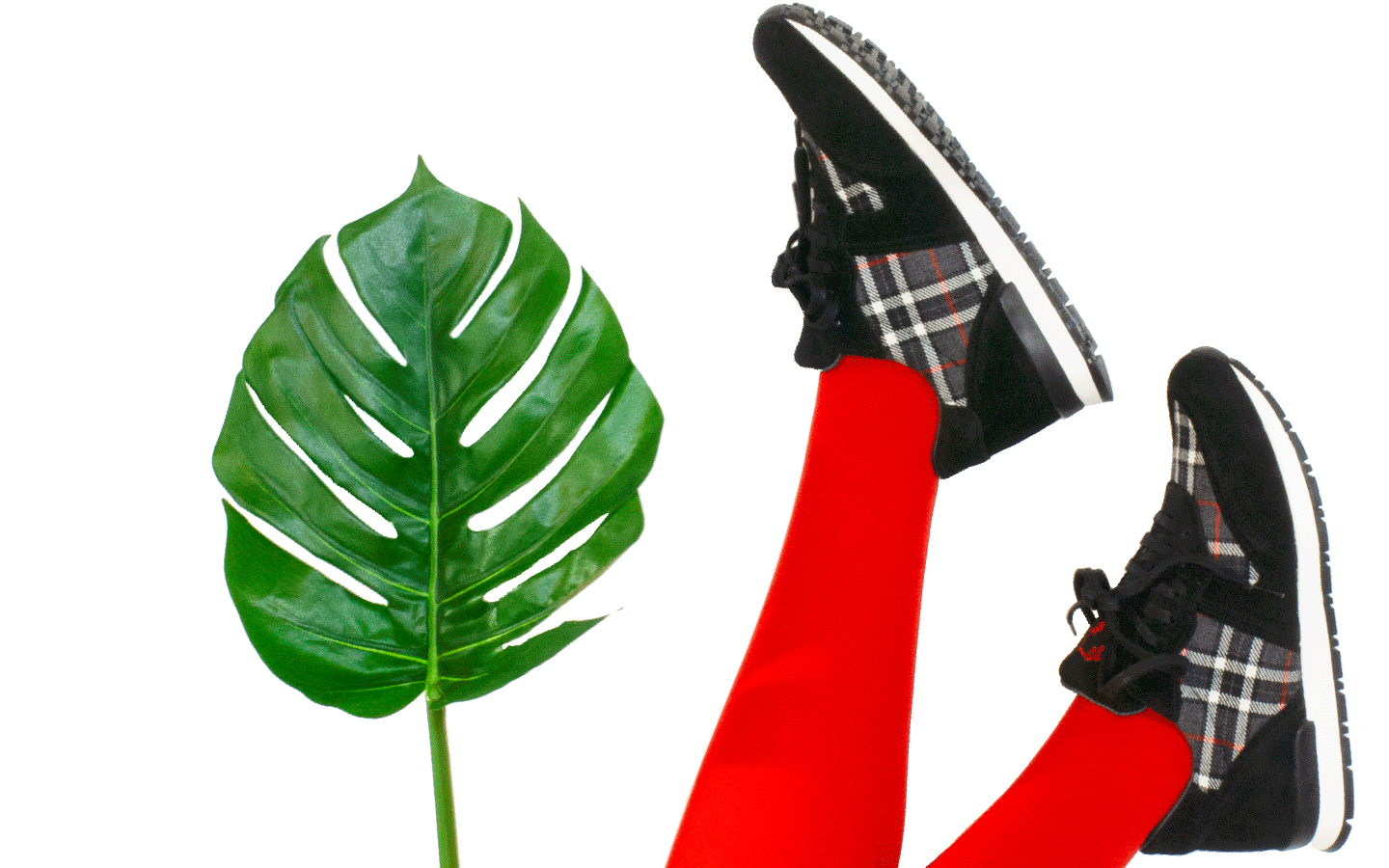 🏴 Woman Sneakers Goa Andrews 🏴